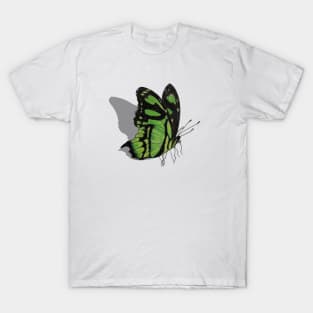 Malachite Butterfly with Shadow T-Shirt